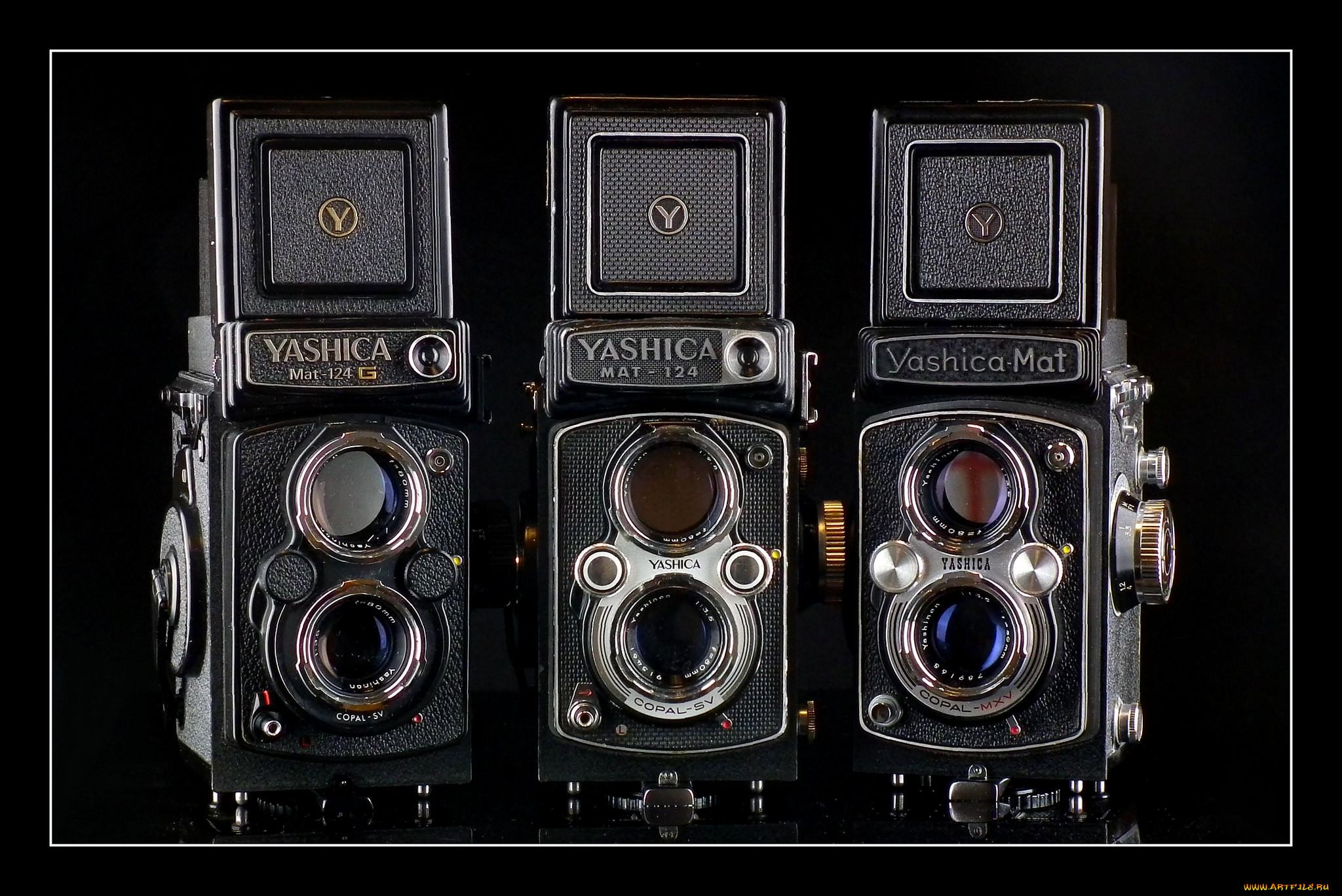 yashica mat family, ,   , , 